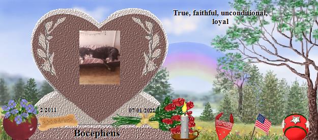 Bocepheus's Rainbow Bridge Pet Loss Memorial Residency Image