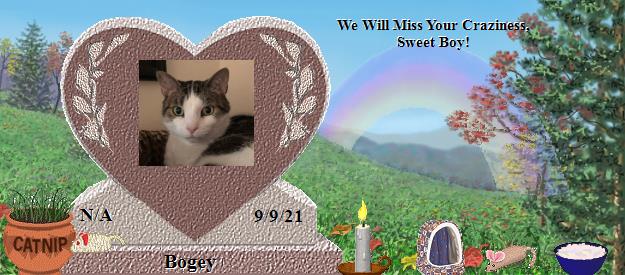 Bogey's Rainbow Bridge Pet Loss Memorial Residency Image