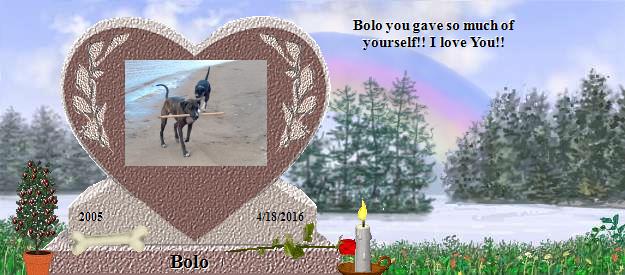 Bolo's Rainbow Bridge Pet Loss Memorial Residency Image