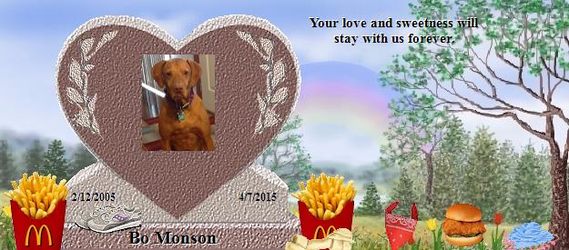 Bo Monson's Rainbow Bridge Pet Loss Memorial Residency Image