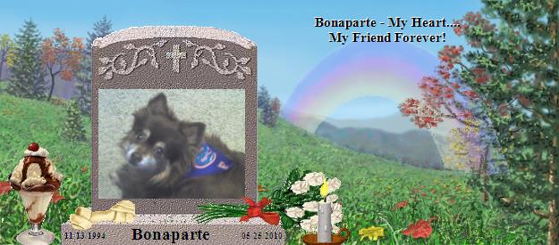 Bonaparte's Rainbow Bridge Pet Loss Memorial Residency Image