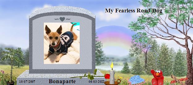 Bonaparte's Rainbow Bridge Pet Loss Memorial Residency Image