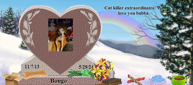 Bongo's Rainbow Bridge Pet Loss Memorial Residency Image