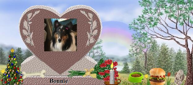 Bonnie's Rainbow Bridge Pet Loss Memorial Residency Image