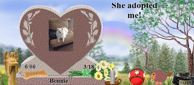 Bonnie's Rainbow Bridge Pet Loss Memorial Residency Image