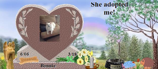 Bonnie's Rainbow Bridge Pet Loss Memorial Residency Image