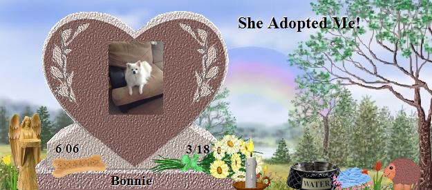 Bonnie's Rainbow Bridge Pet Loss Memorial Residency Image
