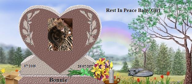 Bonnie's Rainbow Bridge Pet Loss Memorial Residency Image