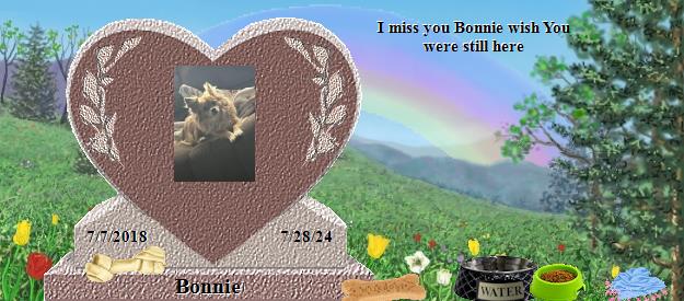 Bonnie's Rainbow Bridge Pet Loss Memorial Residency Image