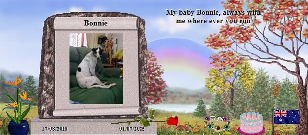 Bonnie's Rainbow Bridge Pet Loss Memorial Residency Image