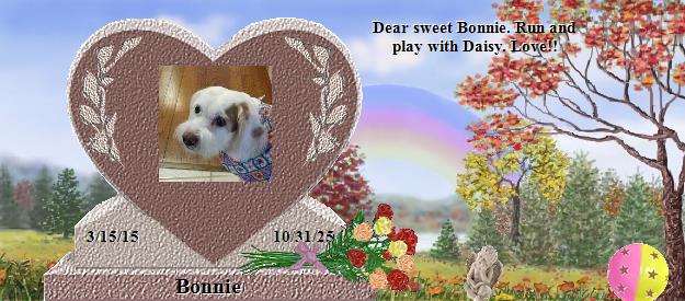Bonnie's Rainbow Bridge Pet Loss Memorial Residency Image