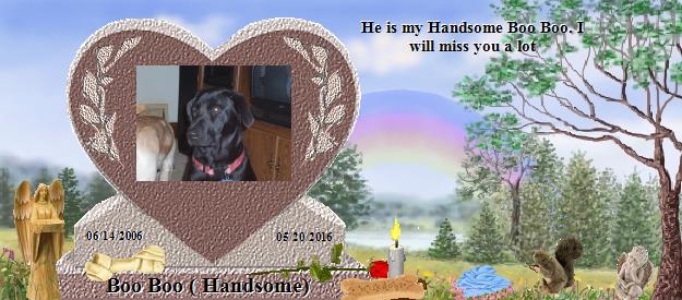 Boo Boo ( Handsome)'s Rainbow Bridge Pet Loss Memorial Residency Image