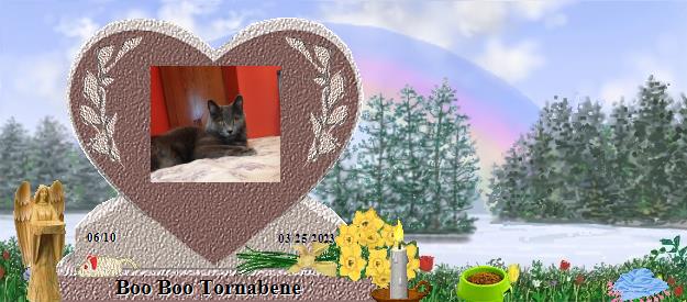 Boo Boo Tornabene's Rainbow Bridge Pet Loss Memorial Residency Image