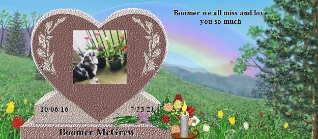 Boomer McGrew's Rainbow Bridge Pet Loss Memorial Residency Image