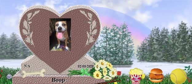 Boop's Rainbow Bridge Pet Loss Memorial Residency Image