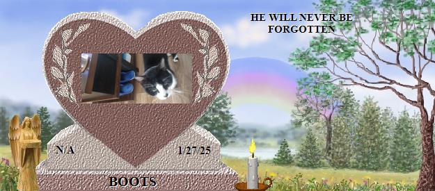 BOOTS's Rainbow Bridge Pet Loss Memorial Residency Image