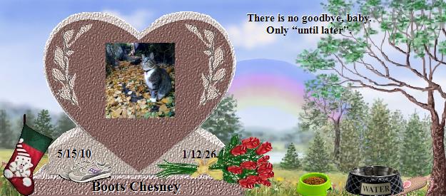 Boots Chesney's Rainbow Bridge Pet Loss Memorial Residency Image
