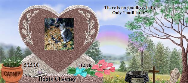 Boots Chesney's Rainbow Bridge Pet Loss Memorial Residency Image