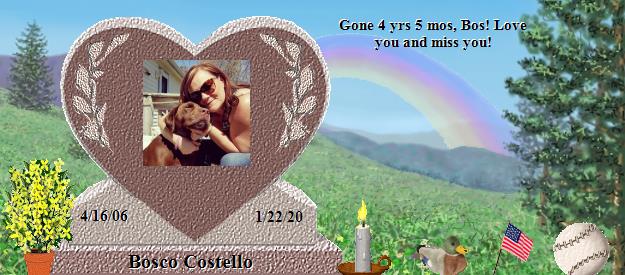 Bosco Costello's Rainbow Bridge Pet Loss Memorial Residency Image