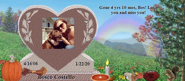 Bosco Costello's Rainbow Bridge Pet Loss Memorial Residency Image