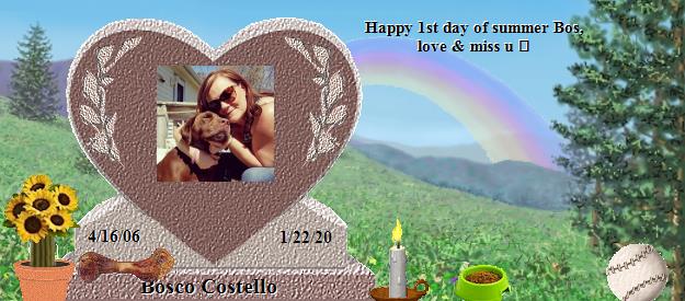 Bosco Costello's Rainbow Bridge Pet Loss Memorial Residency Image
