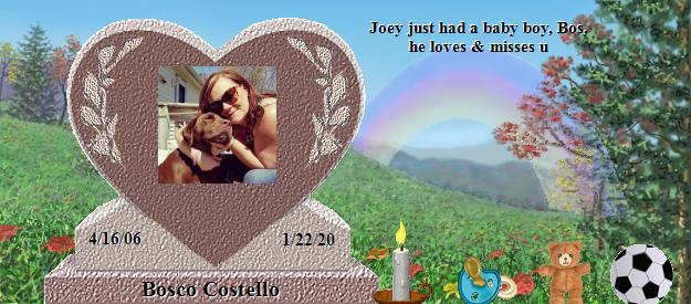 Bosco Costello's Rainbow Bridge Pet Loss Memorial Residency Image