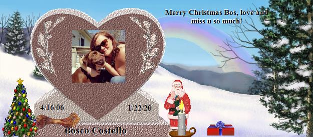 Bosco Costello's Rainbow Bridge Pet Loss Memorial Residency Image