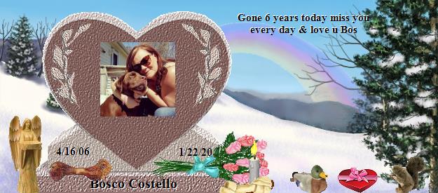 Bosco Costello's Rainbow Bridge Pet Loss Memorial Residency Image