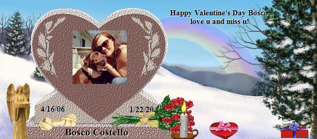 Bosco Costello's Rainbow Bridge Pet Loss Memorial Residency Image