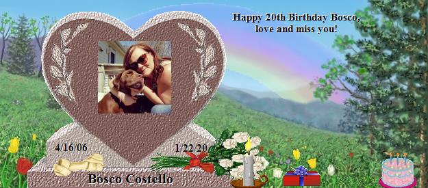Bosco Costello's Rainbow Bridge Pet Loss Memorial Residency Image