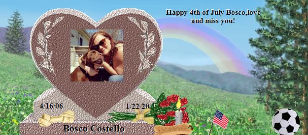 Bosco Costello's Rainbow Bridge Pet Loss Memorial Residency Image
