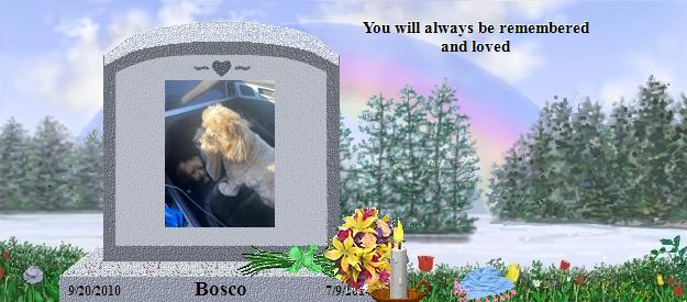 Bosco's Rainbow Bridge Pet Loss Memorial Residency Image