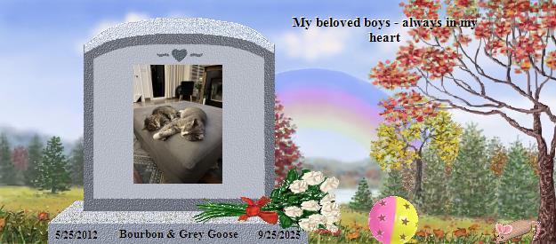 Bourbon & Grey Goose's Rainbow Bridge Pet Loss Memorial Residency Image