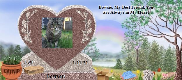 Bowser's Rainbow Bridge Pet Loss Memorial Residency Image