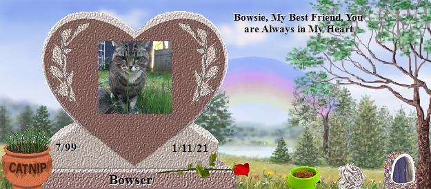 Bowser's Rainbow Bridge Pet Loss Memorial Residency Image