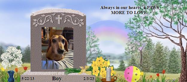 Boy's Rainbow Bridge Pet Loss Memorial Residency Image