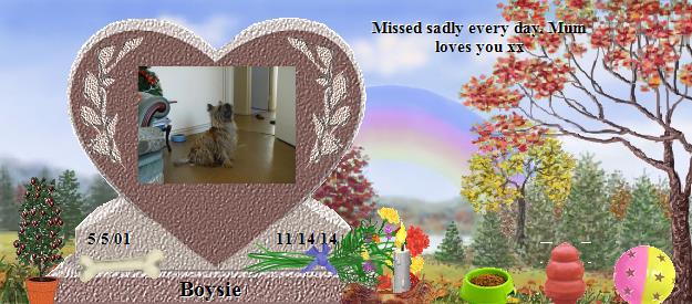 Boysie's Rainbow Bridge Pet Loss Memorial Residency Image