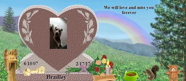 Bradley's Rainbow Bridge Pet Loss Memorial Residency Image