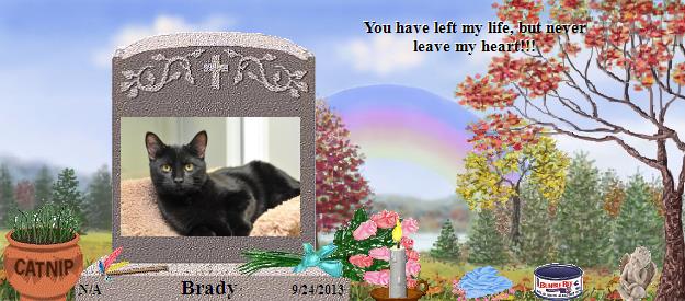 Brady's Rainbow Bridge Pet Loss Memorial Residency Image