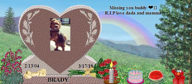BRADY's Rainbow Bridge Pet Loss Memorial Residency Image