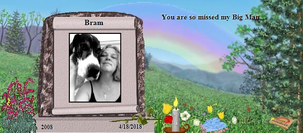 Bram's Rainbow Bridge Pet Loss Memorial Residency Image