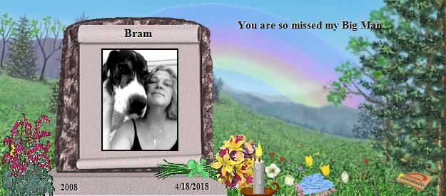 Bram's Rainbow Bridge Pet Loss Memorial Residency Image