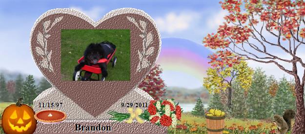 Brandon's Rainbow Bridge Pet Loss Memorial Residency Image