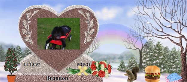 Brandon's Rainbow Bridge Pet Loss Memorial Residency Image
