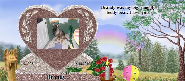 Brandy's Rainbow Bridge Pet Loss Memorial Residency Image