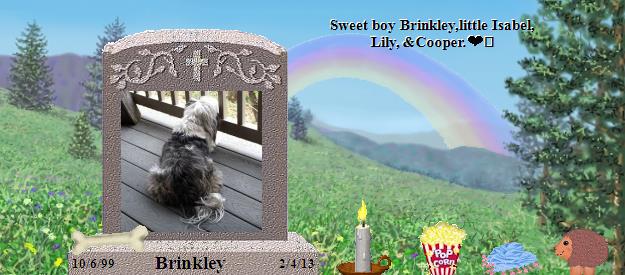 Brinkley's Rainbow Bridge Pet Loss Memorial Residency Image