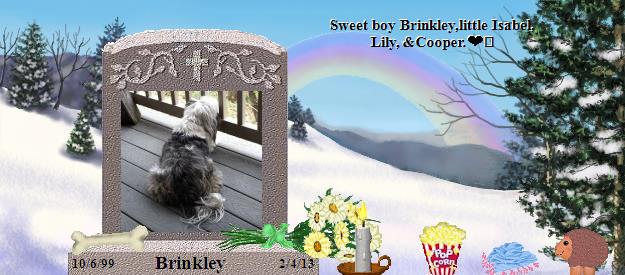 Brinkley's Rainbow Bridge Pet Loss Memorial Residency Image
