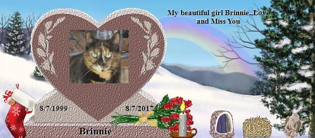 Brinnie's Rainbow Bridge Pet Loss Memorial Residency Image