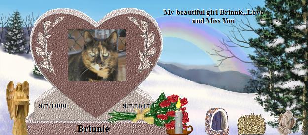 Brinnie's Rainbow Bridge Pet Loss Memorial Residency Image