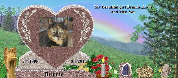 Brinnie's Rainbow Bridge Pet Loss Memorial Residency Image